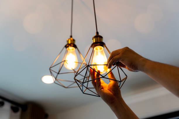 Best Affordable Electrician  in Freeland, WA